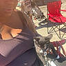 cat, black_and_white_cat, pet, animal, person, sunglasses, outdoor, sunlight, lap, sitting, collar, leash, whiskers, yellow_eyes, white_paws, red_chair, stroller, event, street, portrait