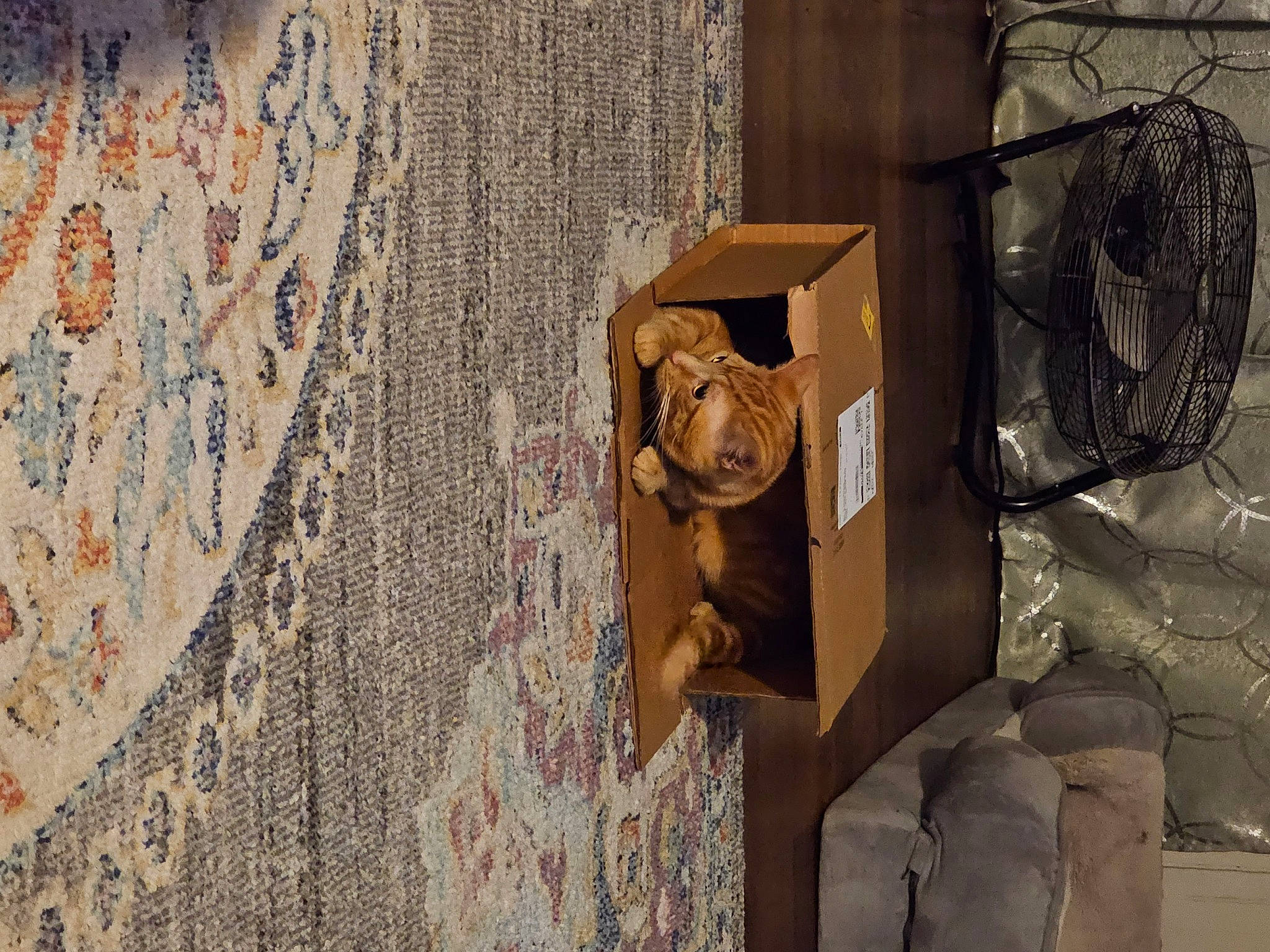 Cheddar is registered to the contest to win money with this photo: art, audio_equipment, brick, cardboard, concrete, door, facade, font, hardwood, mechanical_fan, metal, pattern, plywood, rock, room, sculpture, shadow, tints_and_shades, visual_arts, wood