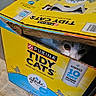 animal, blue, box, cardboard, cat, container, curious, eye, floor, home, indoor, litter_box, messy, packaging, partially_open, peeking, pet, purina, tidy_cats, yellow