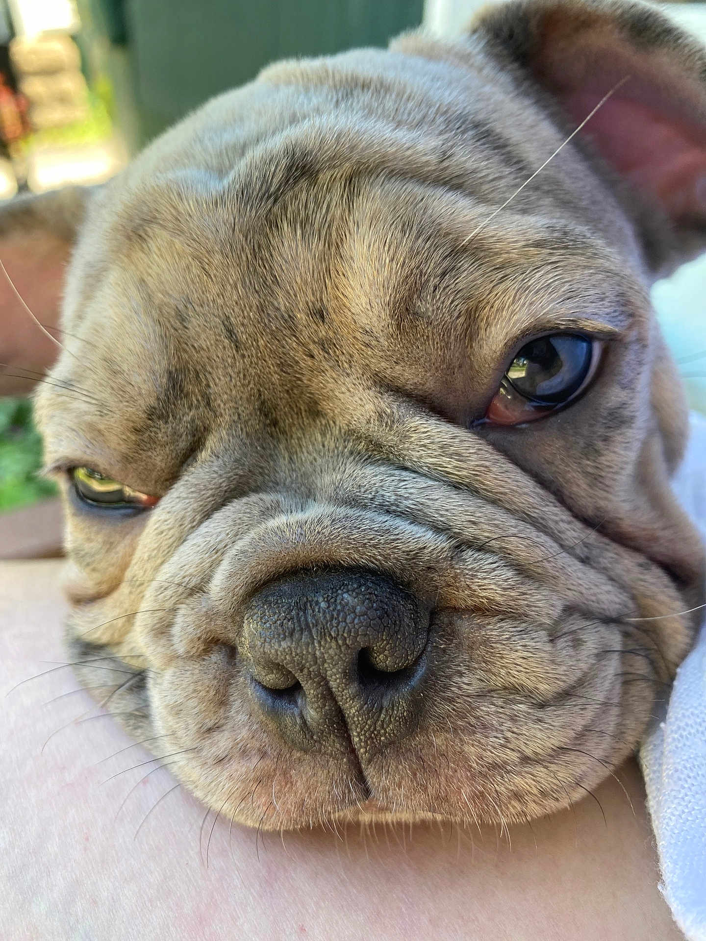 Deebo