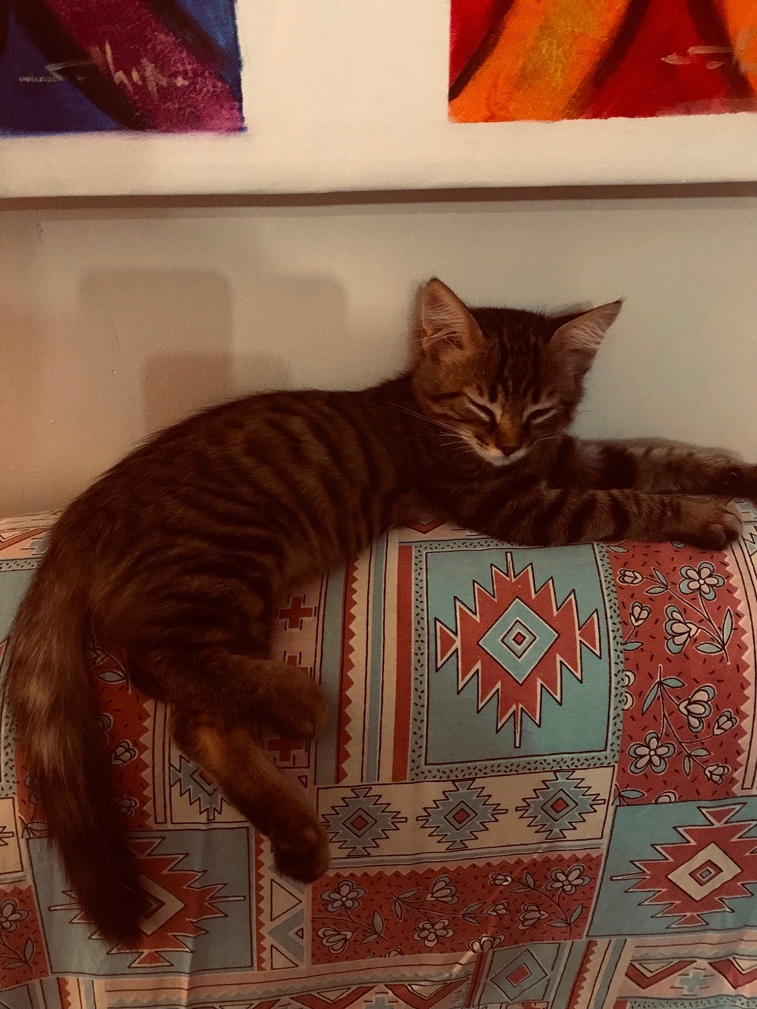 Ticha a rejoint le concours — aidez-le/la à gagner de superbes lots ! art, bag, brown, carnivore, cat, cat_supply, comfort, domestic_short_haired_cat, felidae, fur, linens, motif, pattern, room, rug, small_to_medium_sized_cats, tail, visual_arts, whiskers, wood