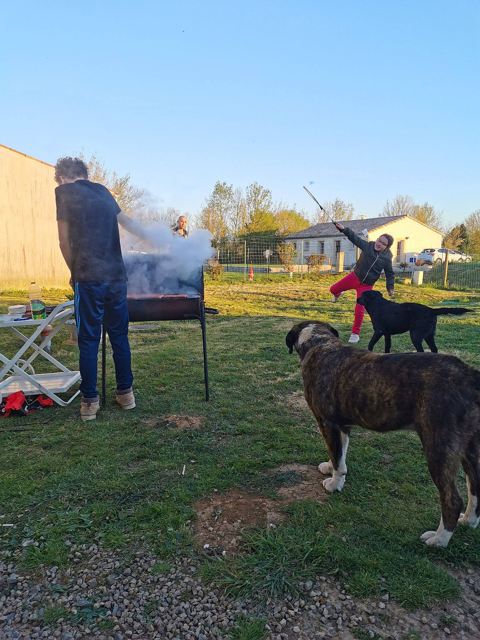 Ginkyo a rejoint le concours — aidez-le/la à gagner de superbes lots ! canidae, carnivore, dog, dog_breed, dog_walking, leash, mountain, obedience_training, sporting_group