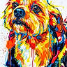 Gros participe au concours pour gagner de l'argent avec cette photo : animal, art, blue, bold_colors, canine, colorful, creative, dog, dripping_paint, expression, illustration, jacket, modern_art, orange, painting, portrait, red, vibrant, white, yellow