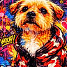 Gros participe au concours pour gagner de l'argent avec cette photo : dog, graffiti, colorful, hoodie, camouflage, paint_splatter, street_art, crown, arrow, text_overlay, urban, portrait, animal, artwork, vibrant, background, expression, canine, illustration, stylized