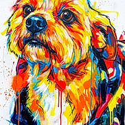 Gros participe au concours pour gagner de l'argent avec cette photo : painting, dog, art, colorful, dripping_paint, portrait, expression, brush_strokes, canine, vibrant, abstract, animal_art, modern_art, multicolor, creative, illustration, face, fur, texture, background