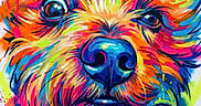 Gros participe au concours pour gagner de l'argent avec cette photo : abstract, art, bright, brush_strokes, canine, closeup, colorful, creative, dog, dripping_paint, expression, face, illustration, modern_art, multicolor, neon, painting, portrait, texture, vibrant