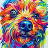 abstract, art, bright, brush_strokes, canine, closeup, colorful, creative, dog, dripping_paint, expression, face, illustration, modern_art, multicolor, neon, painting, portrait, texture, vibrant