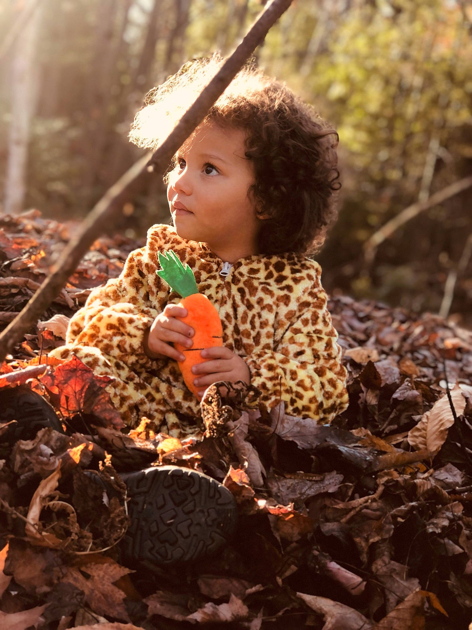 Joan-manuel a rejoint le concours — aidez-le/la à gagner de superbes lots ! branch, child, deciduous, doll, eye, fawn, flash_photography, forest, grass, happy, natural_environment, people_in_nature, person, plant, toddler, toy, tree, twig, wilderness, wood
