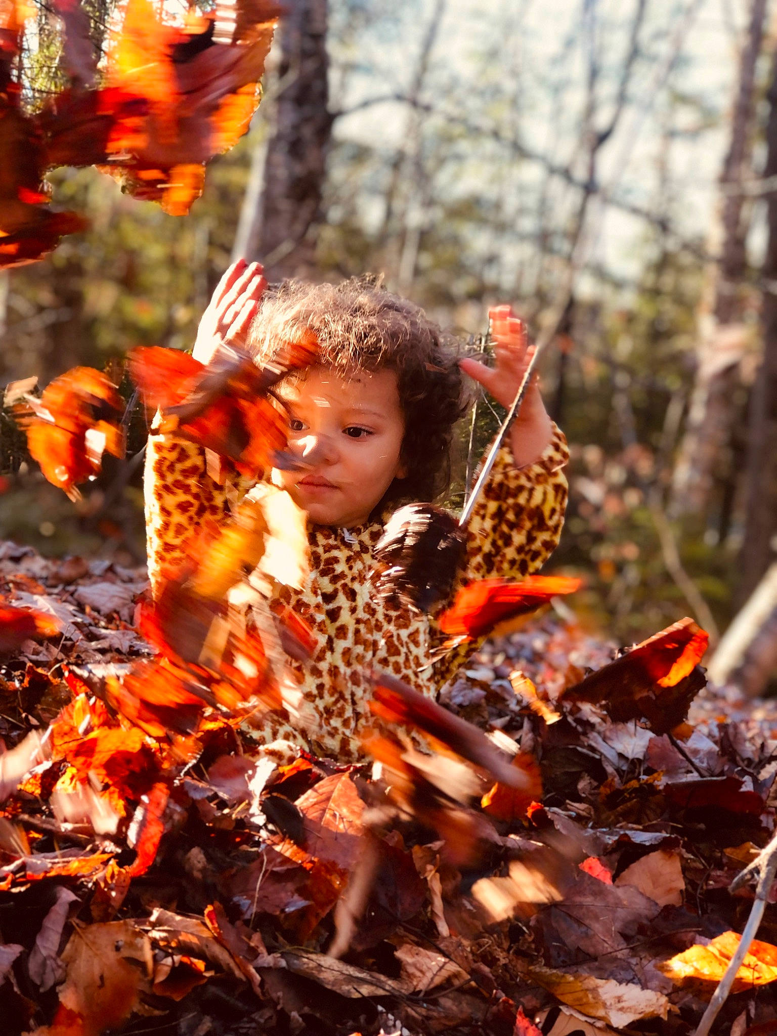 Joan-manuel participe au concours pour gagner de l'argent avec cette photo : autumn, child, deciduous, event, fun, grass, happy, hoodie, northern_hardwood_forest, orange, people_in_nature, person, plant, soil, spring, toddler, tradition, tree, twig, wood
