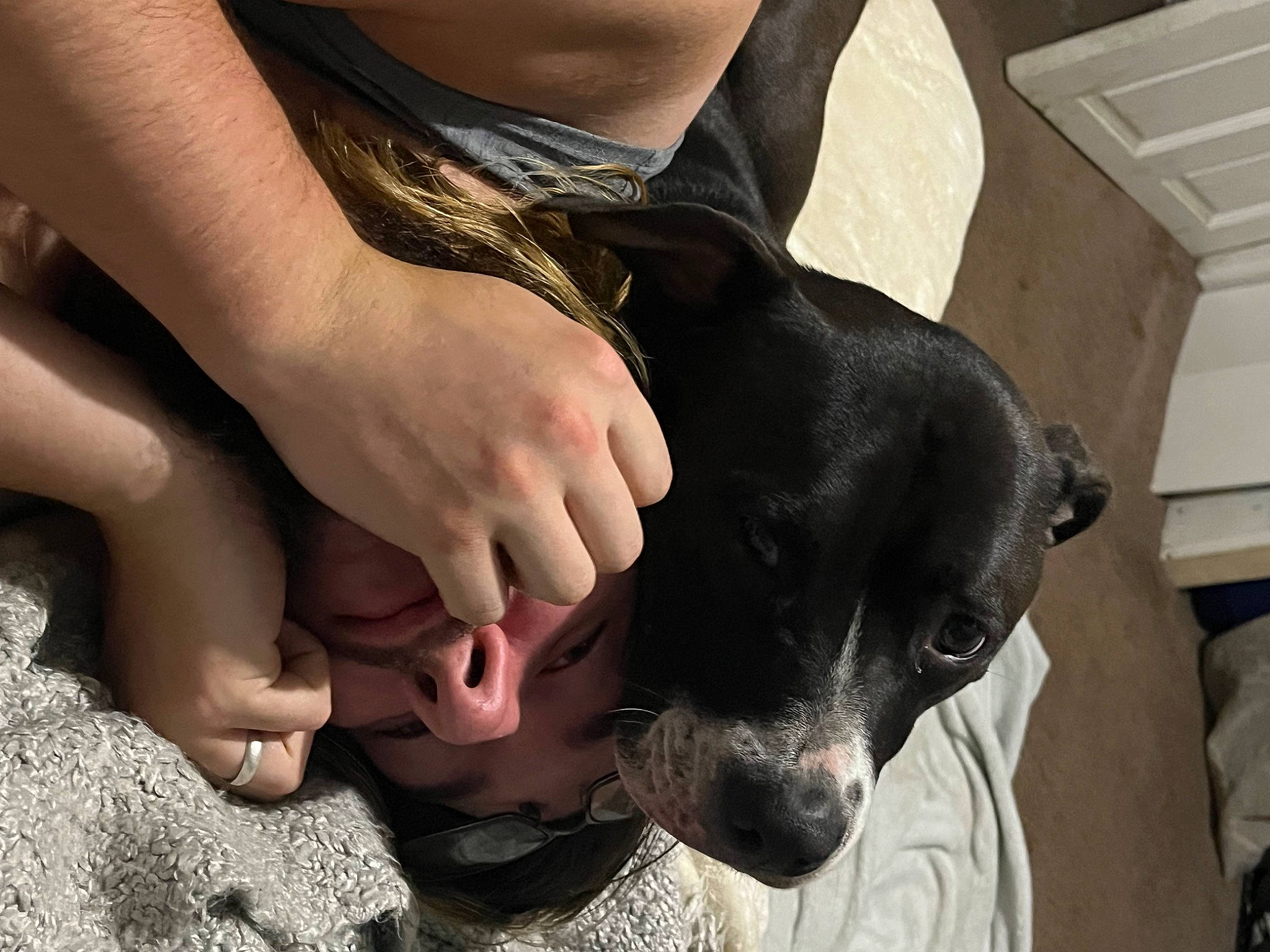 Scout is registered to the contest to win money with this photo: carnivore, carton, companion_dog, denim, dog, dog_breed, fashion_accessory, fawn, foot, fur, gesture, guard_dog, human_leg, leg, nail, shipping_box, sleeve, t_shirt, whiskers, working_animal