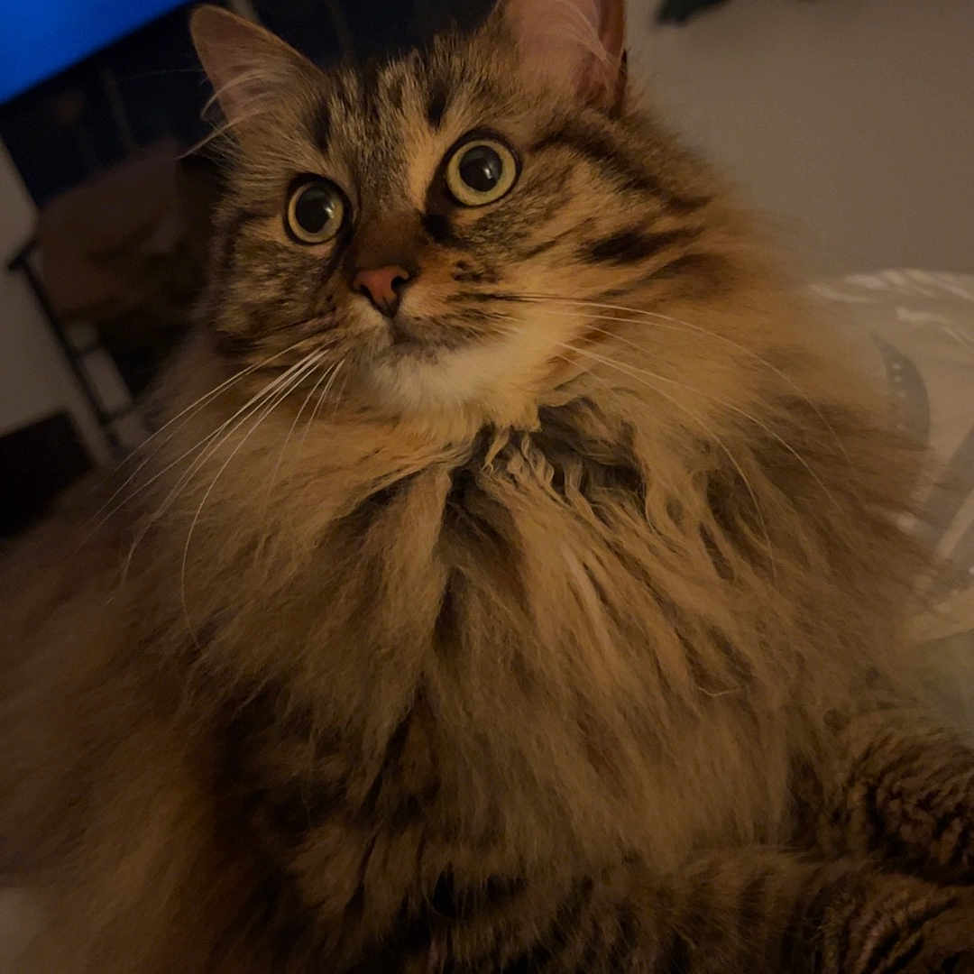 Hermione