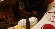 Plume a rejoint le concours — aidez-le/la à gagner de superbes lots ! animal, bedroom, black_cat, blanket, brown_fur, cat, cherry_pattern, cozy, crocheted_toy, cute, domestic_cat, feline, fur, indoor, pet, relaxed, resting, shrimp_sushi, soft_toy, whiskers
