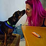 Kourage joined the competition — help win amazing prizes! dog, woman, pink_hair, chair, table, indoor, kiss, pet, furniture, tile_floor, water_jug, brown_dog, black_dog, short_hair, casual, affection, side_view, domestic, interaction, human