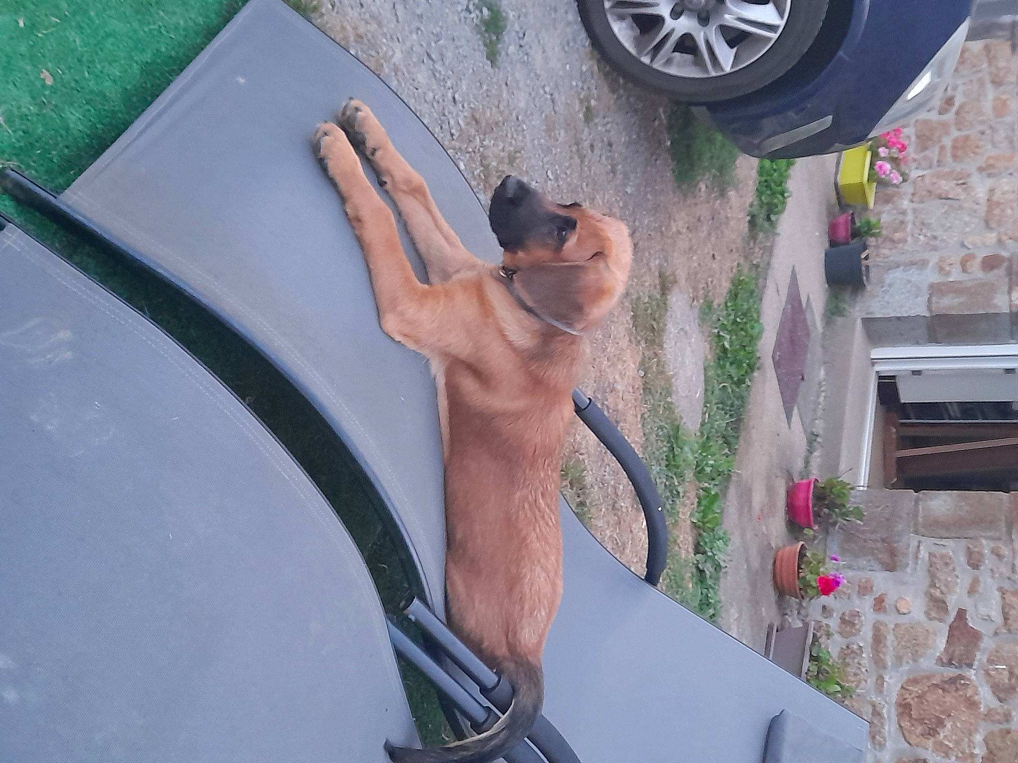 Tommy a rejoint le concours — aidez-le/la à gagner de superbes lots ! auto_part, automotive_design, automotive_exterior, automotive_tire, bumper, car, eyewear, green, hood, hubcap, human_leg, leg, motor_vehicle, plant, thigh, tire, tire_care, vehicle, vehicle_door, wheel