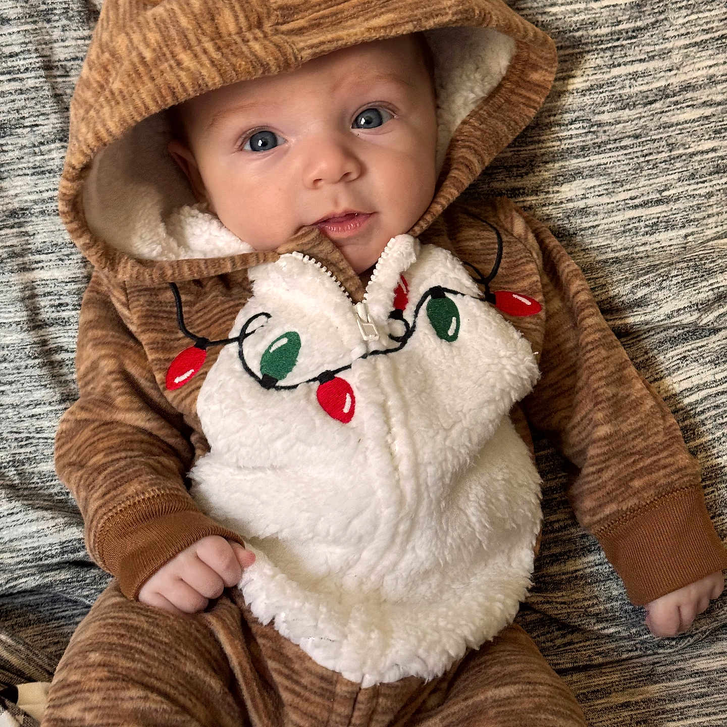 Luca joined the competition — help win amazing prizes! baby, blanket, bonnet, cap, clothing, coat, couch, face, furniture, hat, head, hood, hoodie, jacket, knitwear, person, photography, portrait, sweater, sweatshirt