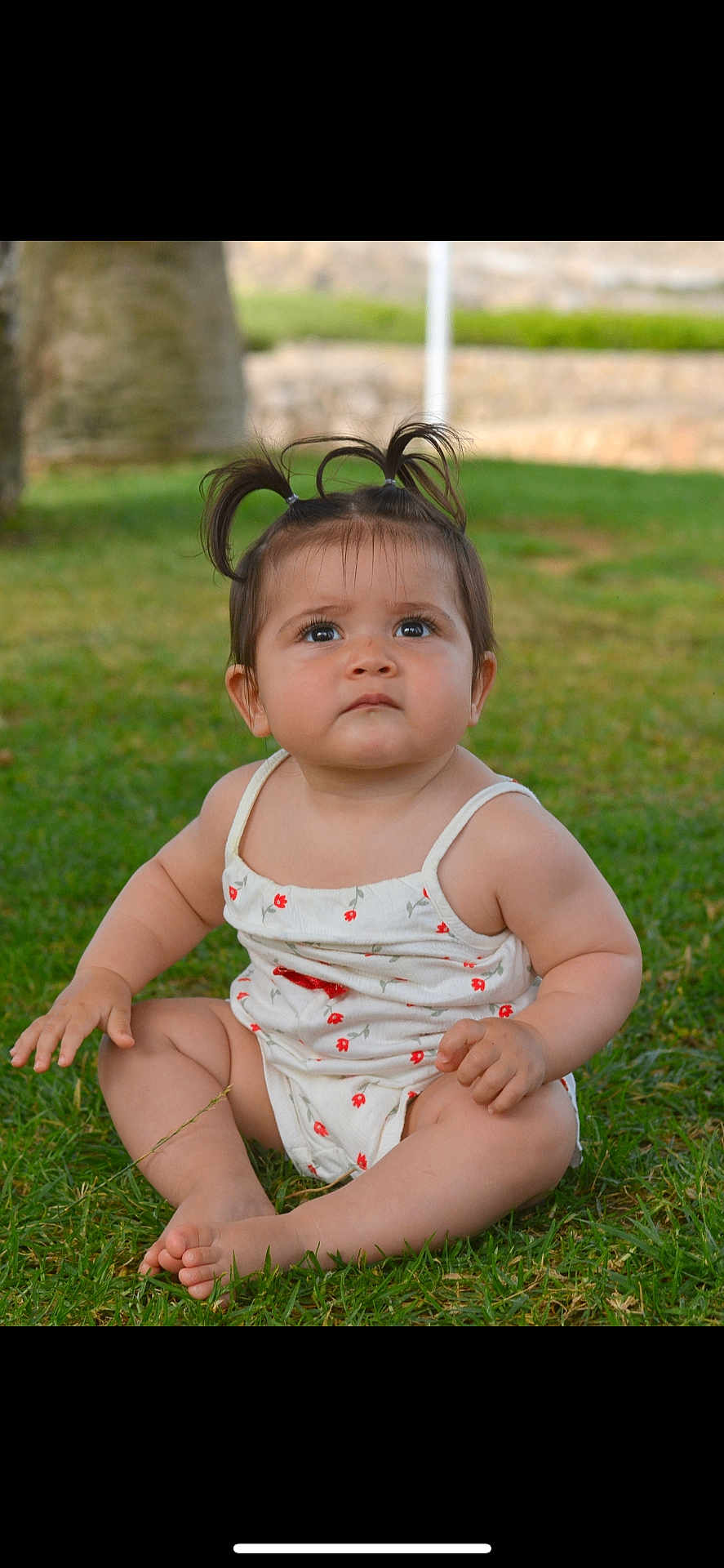 Alba participe au concours pour gagner de l'argent avec cette photo : baby, child, grass, outdoor, cute, portrait, sitting, toddler, person, greenery, hair_ties, summer_clothing, innocent, curious, nature, daylight, young_child, casual_wear, small_hands, barefoot