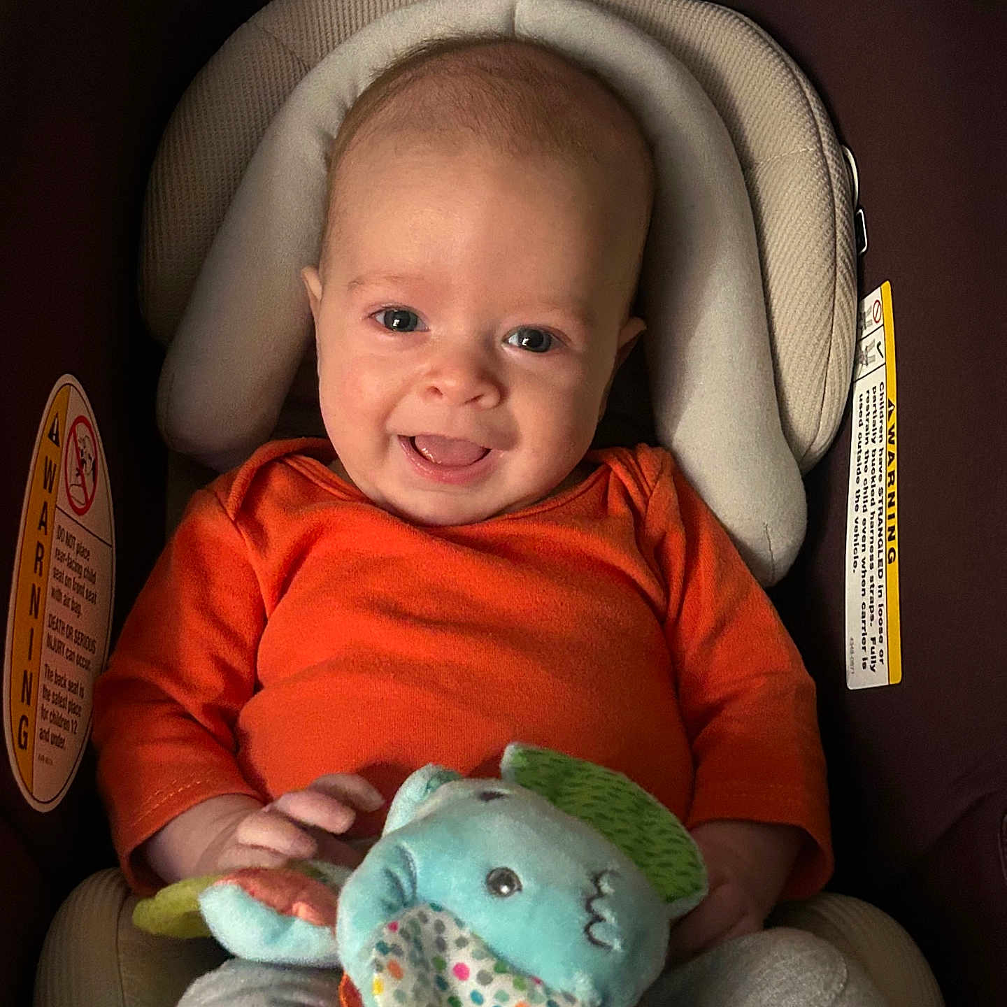 Stetson joined the competition — help win amazing prizes! baby, car_seat, child, comfort, cute, elephant_toy, fabric, happy, head_support, indoor, infant, orange_clothing, person, playful, plush_toy, portrait, seated, smiling, toy, young_child