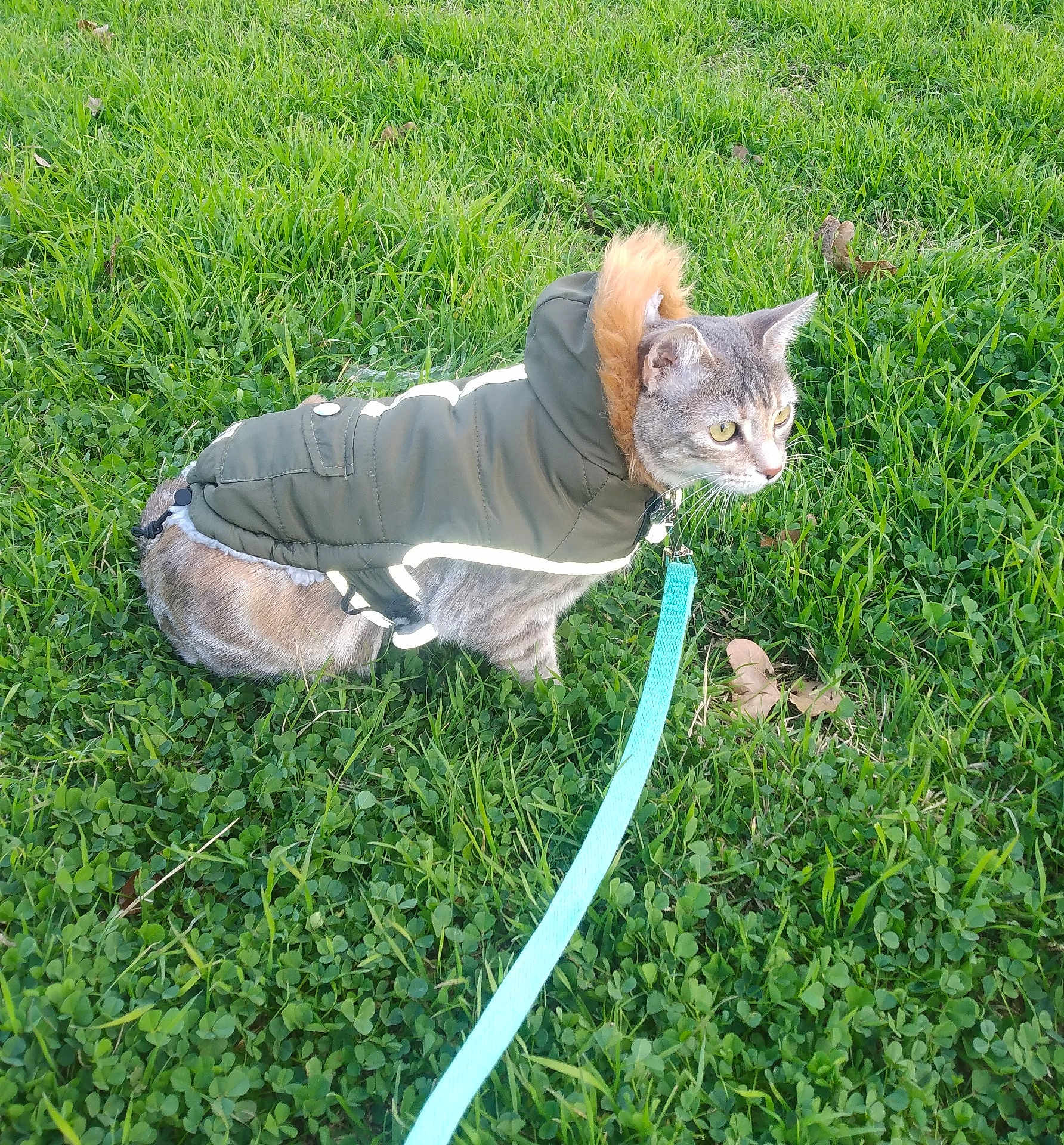Eskimo