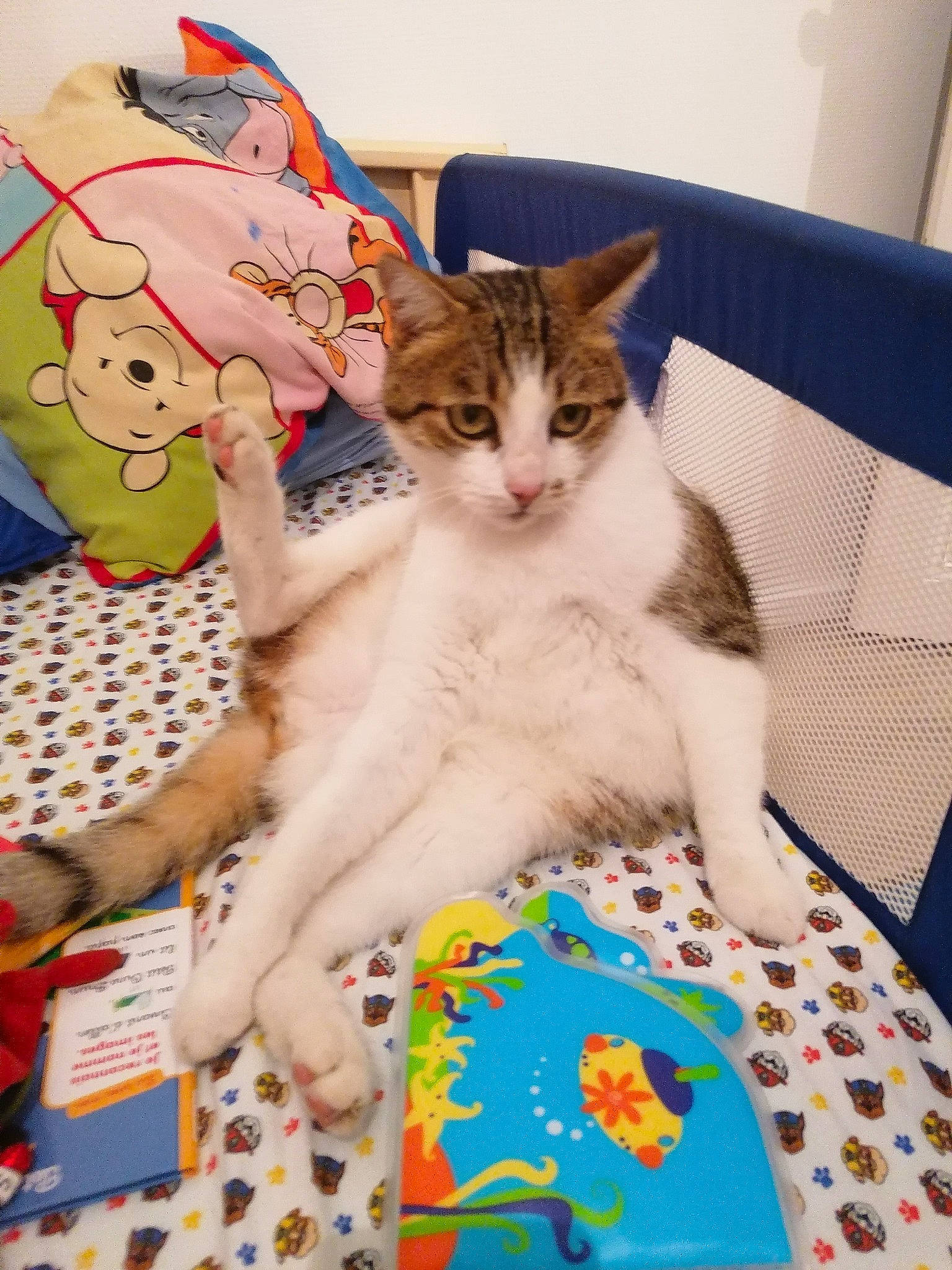 Canaille participe au concours pour gagner de l'argent avec cette photo : art, carnivore, cat, child, comfort, domestic_short_haired_cat, fawn, felidae, fur, lap, linens, pattern, paw, play, recreation, room, small_to_medium_sized_cats, smile, textile, whiskers