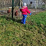 Ethan participe au concours pour gagner de l'argent avec cette photo : agriculture, child, fence, field, grass, grass_family, grassland, groundcover, hat, home_fencing, jacket, land_lot, landscape, meadow, mesh, people_in_nature, plant, sky, toddler, wire_fencing