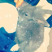 Akira participe au concours pour gagner de l'argent avec cette photo : art, blue, computer_wallpaper, illustration, organism, painting, sky, space, visual_arts, water