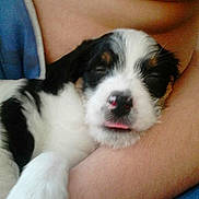 Rosy a rejoint le concours — aidez-le/la à gagner de superbes lots !