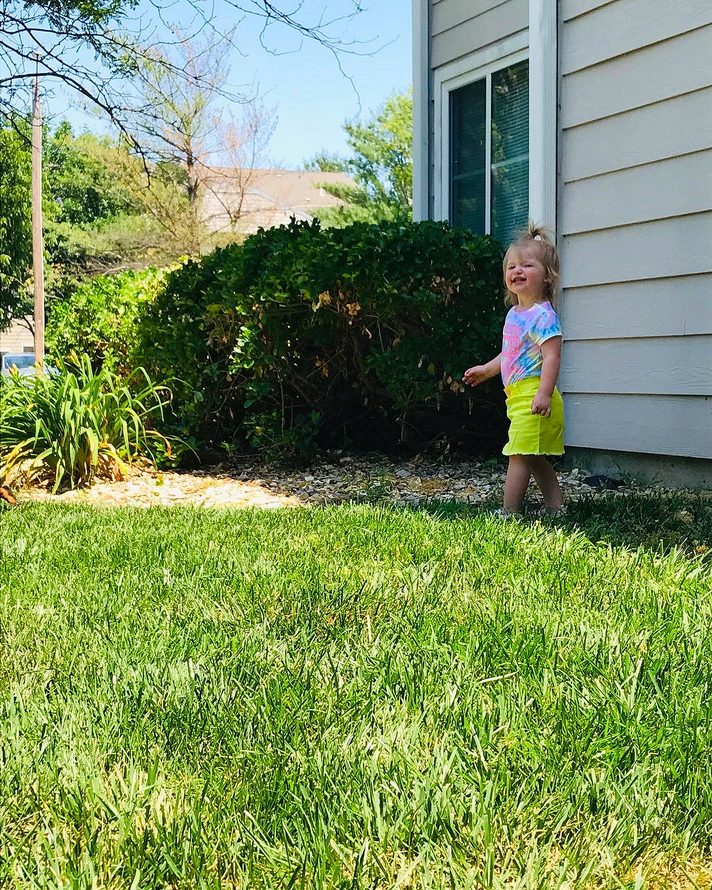 Jocelyn joined the competition — help win amazing prizes! grass, grass_family, grassland, groundcover, house, joy, land_lot, landscape, landscaping, lawn, leisure, meadow, natural_environment, people_in_nature, person, plant, shorts, shrub, sky, toddler