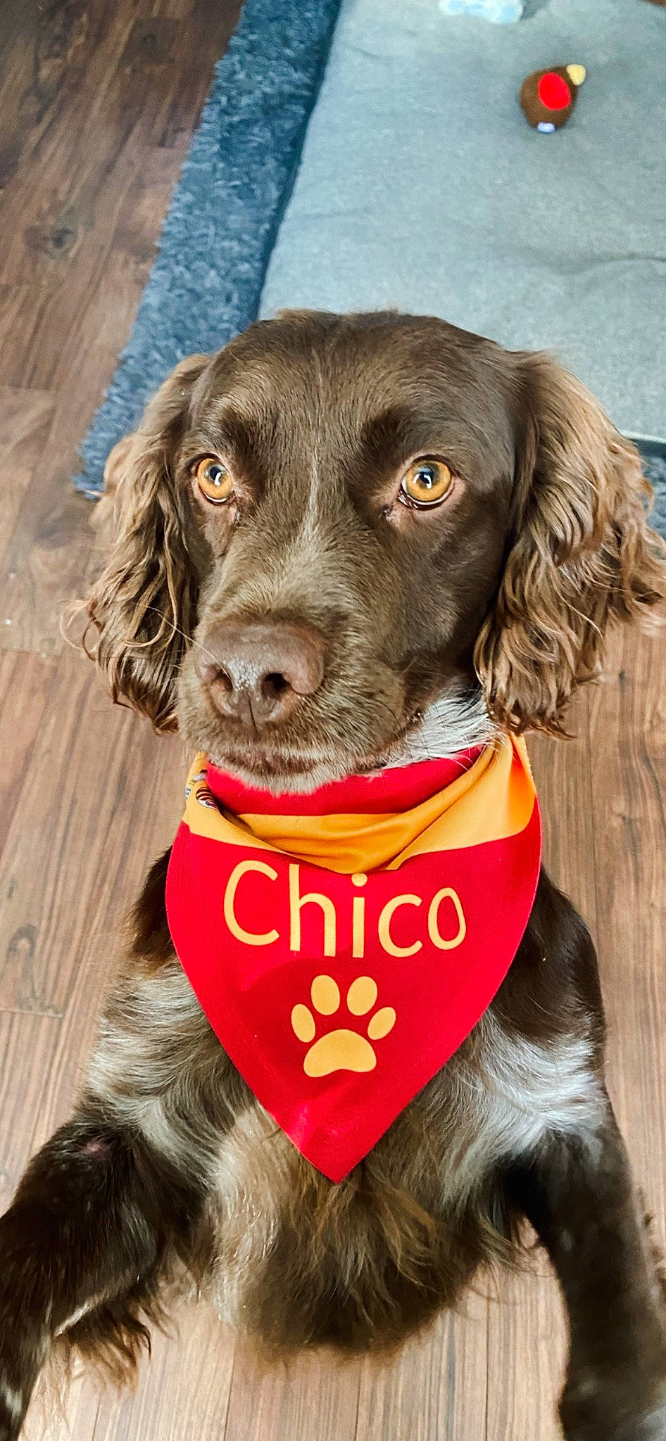 Chico