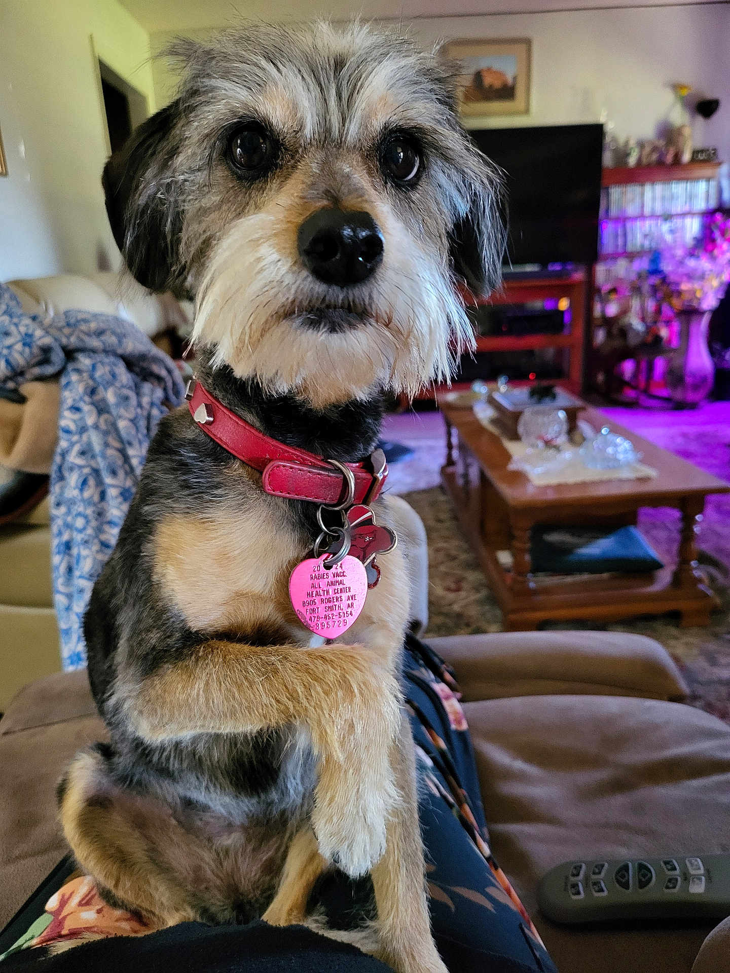 Lucy