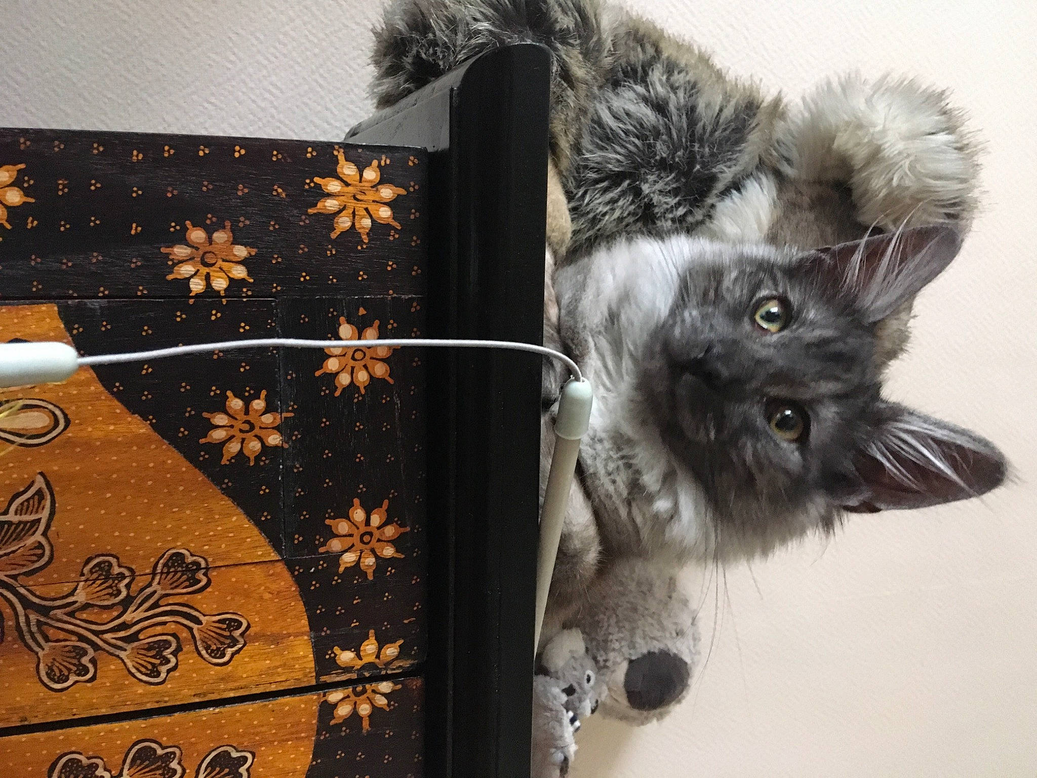 Soprano participe au concours pour gagner de l'argent avec cette photo : art, black_cat, carnivore, cat, cat_toy, claw, domestic_short_haired_cat, fashion_accessory, felidae, fur, grey, pattern, paw, rectangle, small_to_medium_sized_cats, tail, visual_arts, whiskers