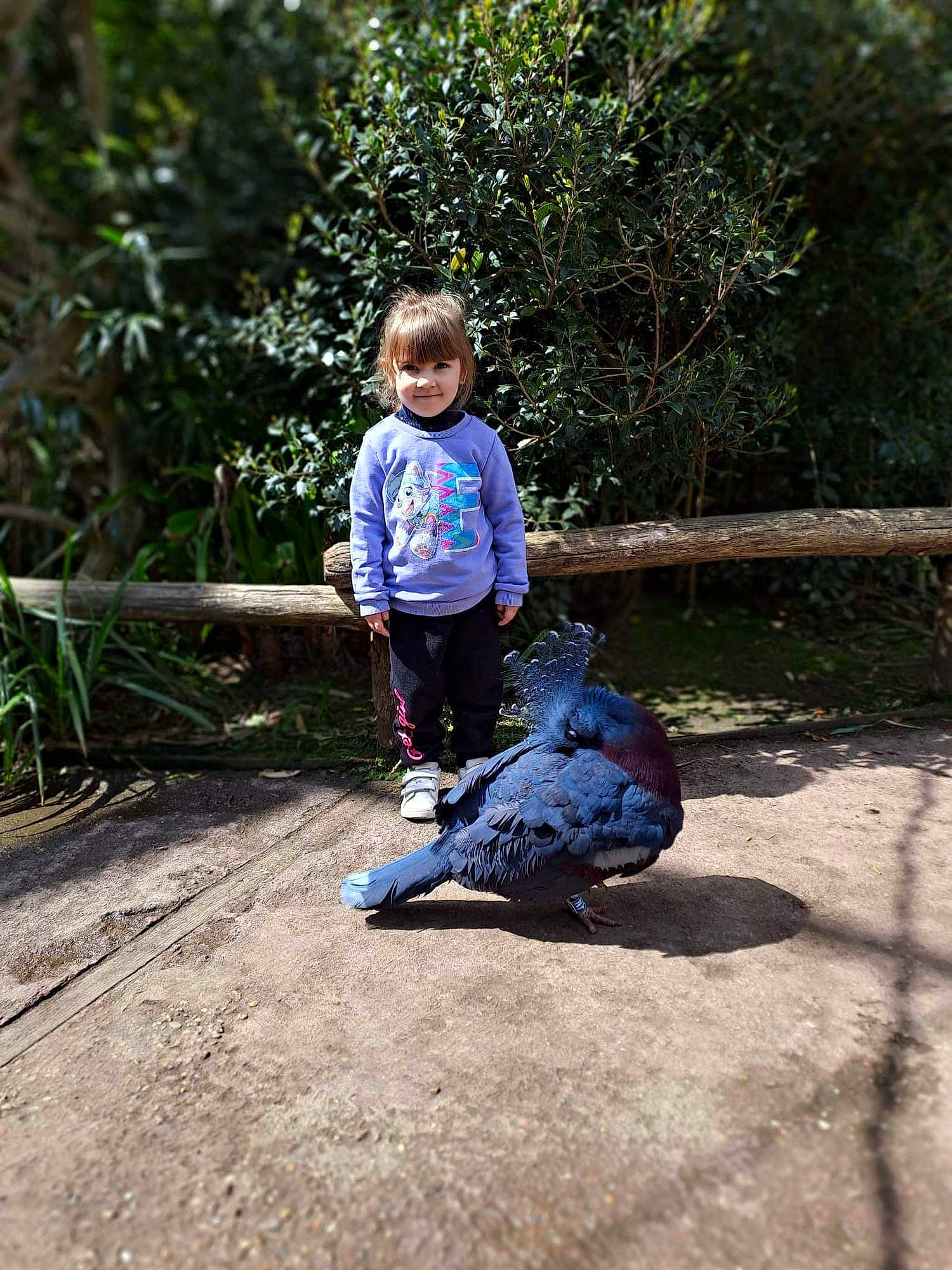 Alézya a rejoint le concours — aidez-le/la à gagner de superbes lots ! boot, botany, denim, electric_blue, fun, garden, grass, joy, landscape, leaf, leisure, people_in_nature, person, plant, recreation, reptile, sandal, sitting, soil, toddler