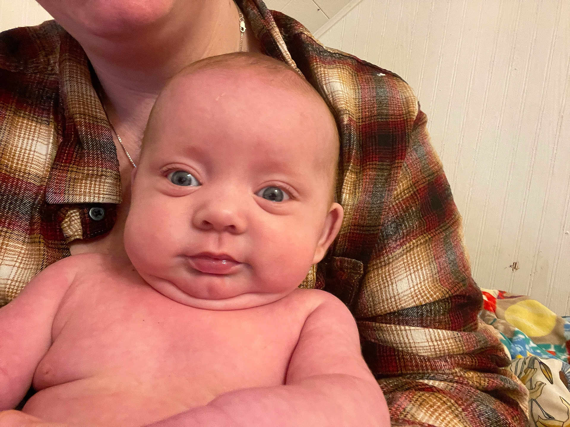 Isolde is registered to the contest to win money with this photo: baby, infant, child, person, plaid_shirt, skin, face, blue_eyes, arm, torso, expression, indoor, background, fabric, human, portrait, cute, closeup, holding, plaid