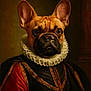 art, black, brown, classic, clothing, costume, dog, ears, expression, face, french_bulldog, fur, historical, indoor, noble, painting_style, portrait, red, renaissance, ruffled_collar