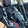black_dog, labrador_puppy, car_interior, car_seat, seat_cover, window, daylight, person_arm, tattoo, sweatshirt, collar, puppy_paws, relaxed, looking_away, road_trip, casual, pet, animal, companion, indoors
