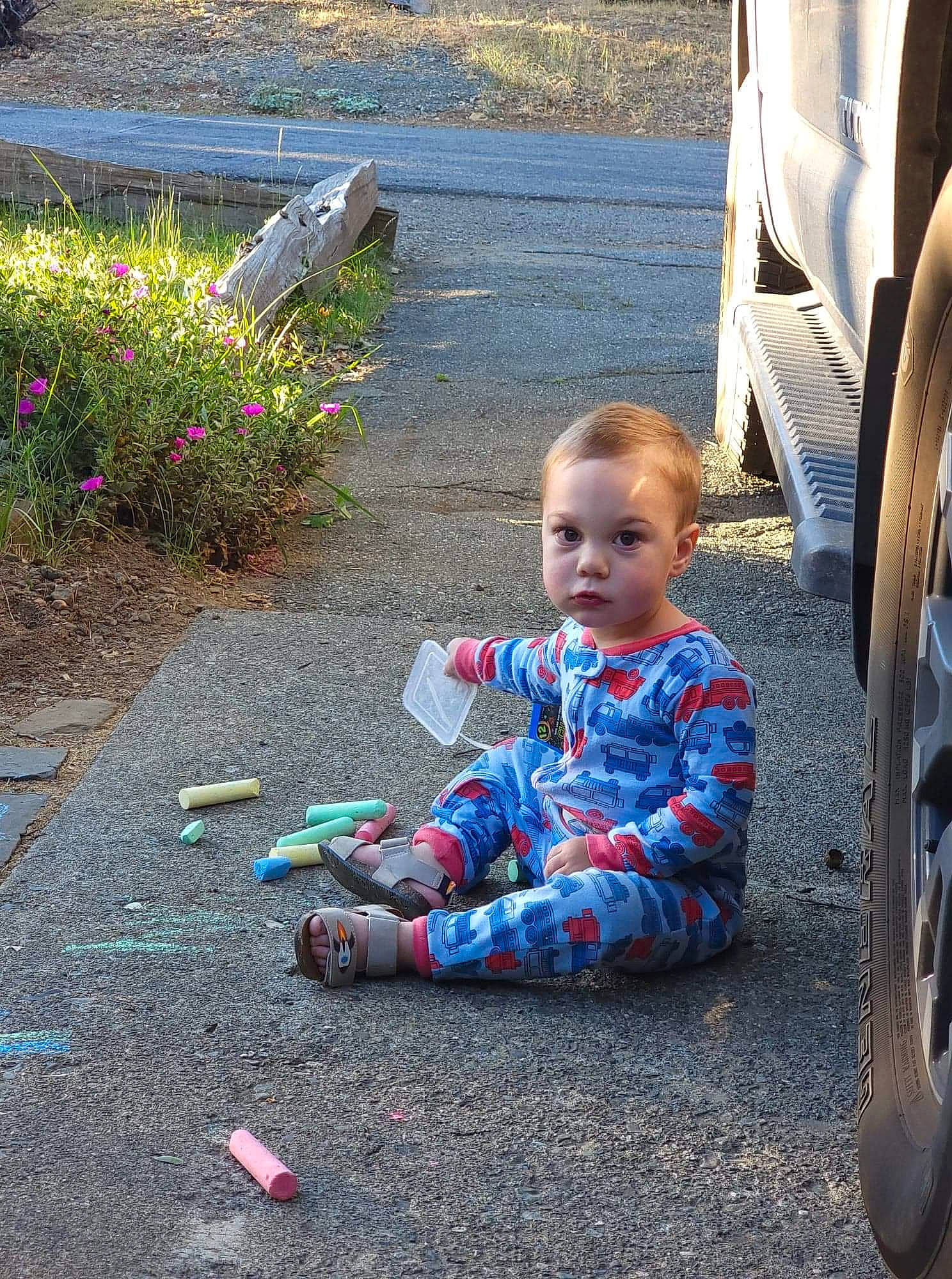 Emmet joined the competition — help win amazing prizes! asphalt, automotive_tire, beauty, fender, flower, fun, grass, leisure, morning, person, plant, public_space, road_surface, sidewalk, summer, synthetic_rubber, tire, toddler, tread, vehicle