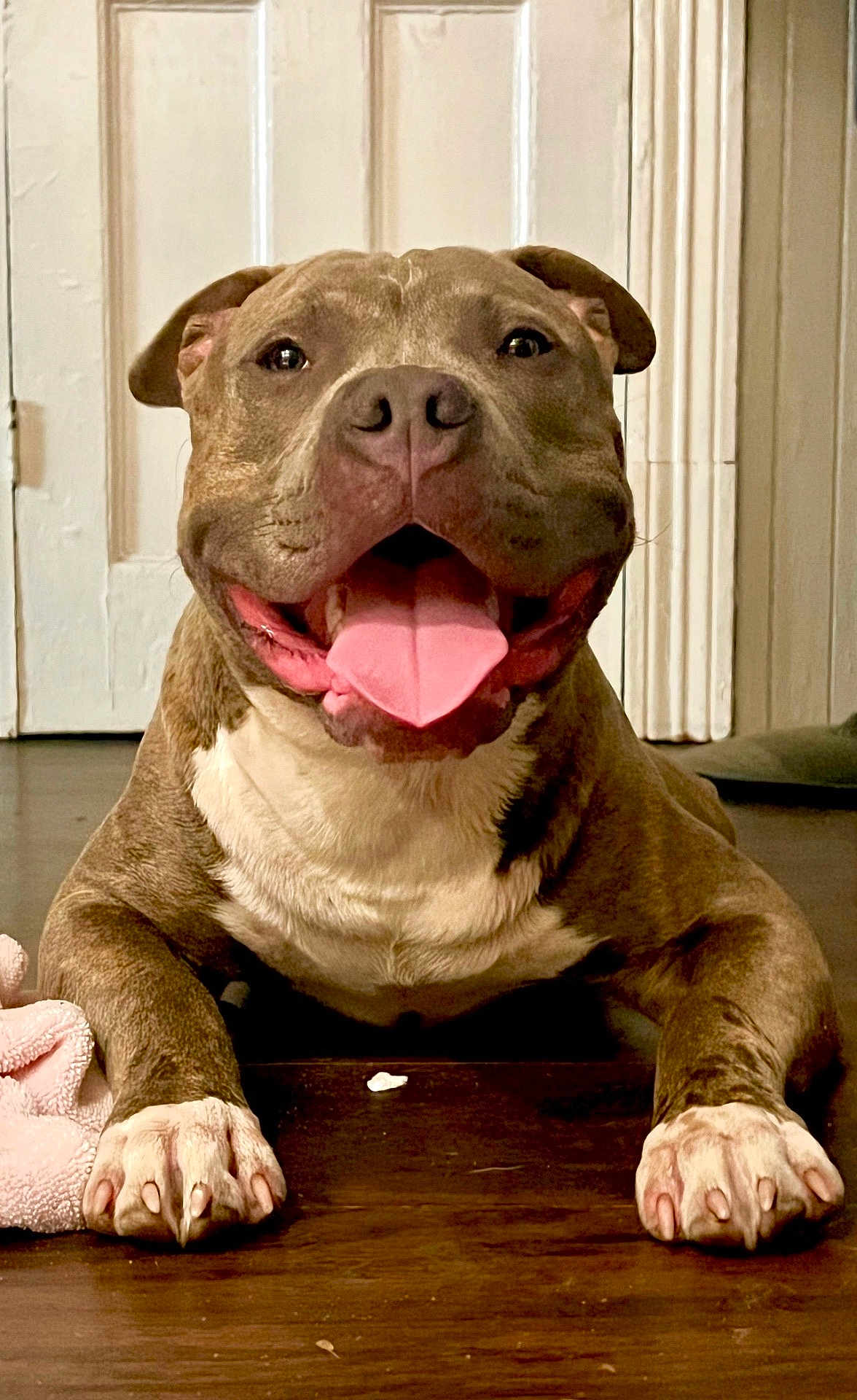 Gauge