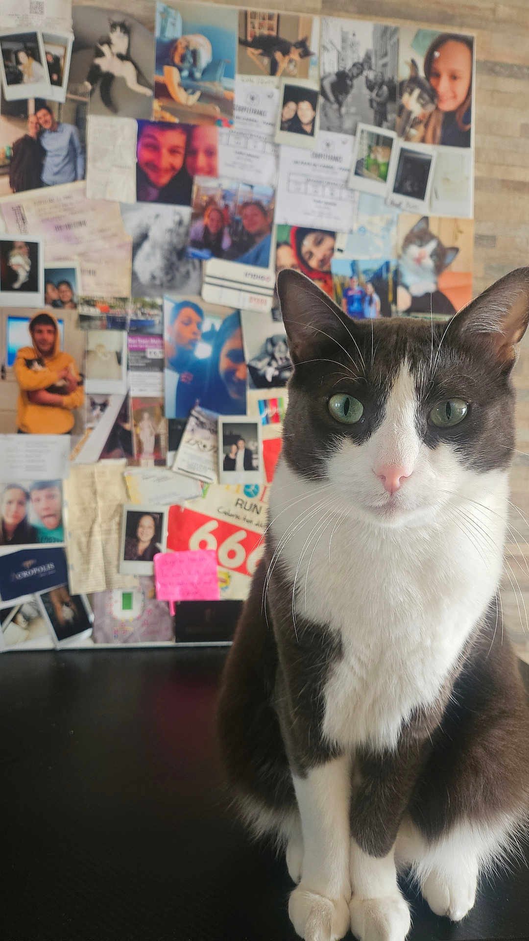 Rio
