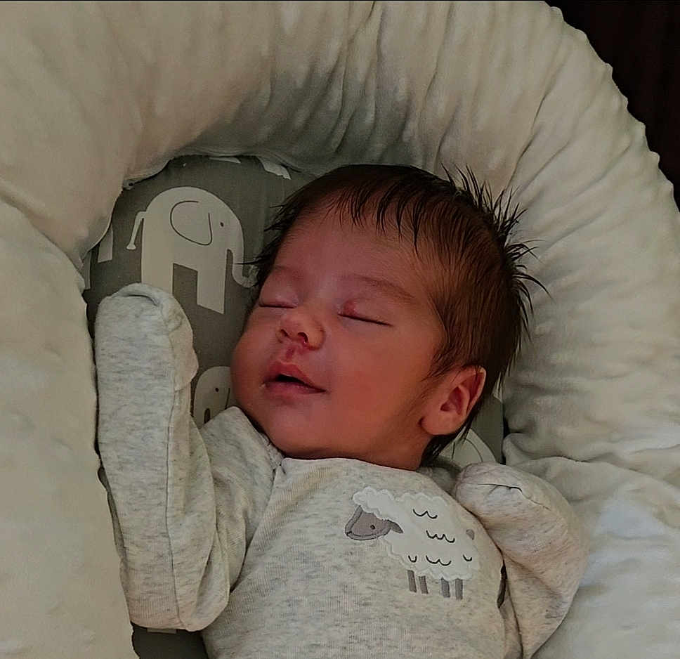 Ramone joined the competition — help win amazing prizes! baby, newborn, sleeping, pajamas, sheep, soft, cushion, elephant_print, infant, cozy, peaceful, child, cute, resting, indoors, portrait, face, head, small, adorable