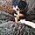 Luna Mcsherry