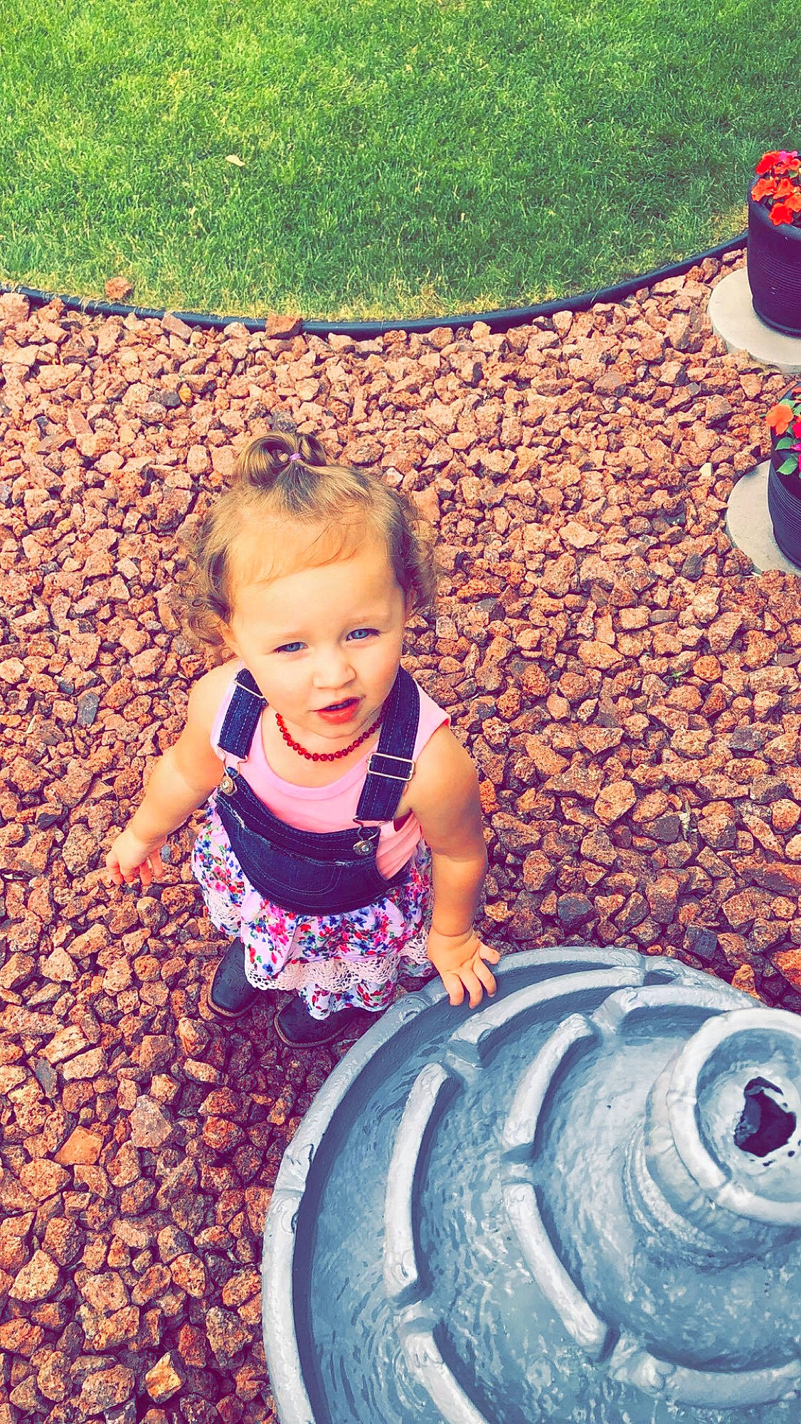 Paislee is registered to the contest to win money with this photo: automotive_tire, backyard, child, family, fun, grass, happy, lawn, leaf, person, plant, play, playground, public_space, sitting, smile, summer, tire, toddler, vacation