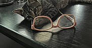 Tabitha joined the competition — help win amazing prizes! cat, tabby_cat, glasses, table, indoor, pet, animal, curious, playful, resting, wooden_table, decor, competition, text_overlay, paw, feline, cute, domestic_cat, background, relaxing