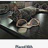 cat, tabby_cat, glasses, table, indoor, pet, animal, curious, playful, resting, wooden_table, decor, competition, text_overlay, paw, feline, cute, domestic_cat, background, relaxing