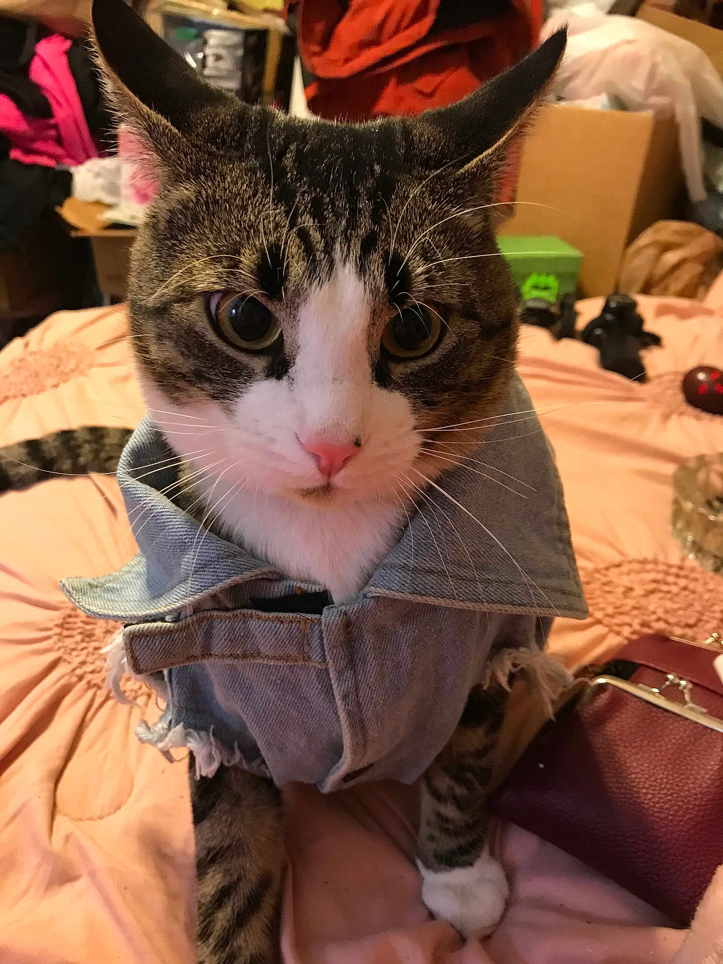 Simon