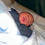 baby, bed, blanket, closeup, cozy, cute, face, homedecor, indoors, infant, lips, newborn, peaceful, person, resting, sleeping, soft_focus, warm, wrapped, young_child