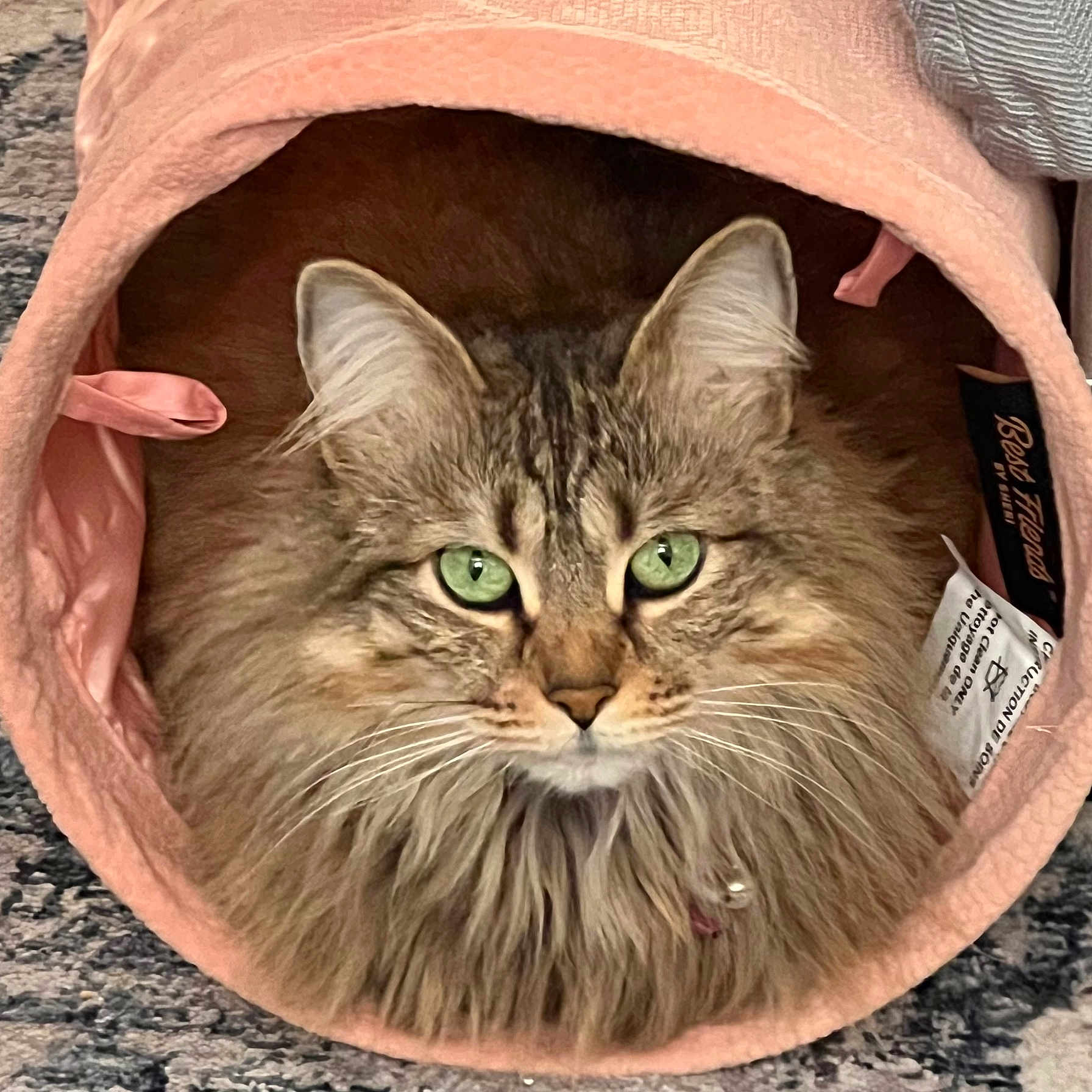 Lucie