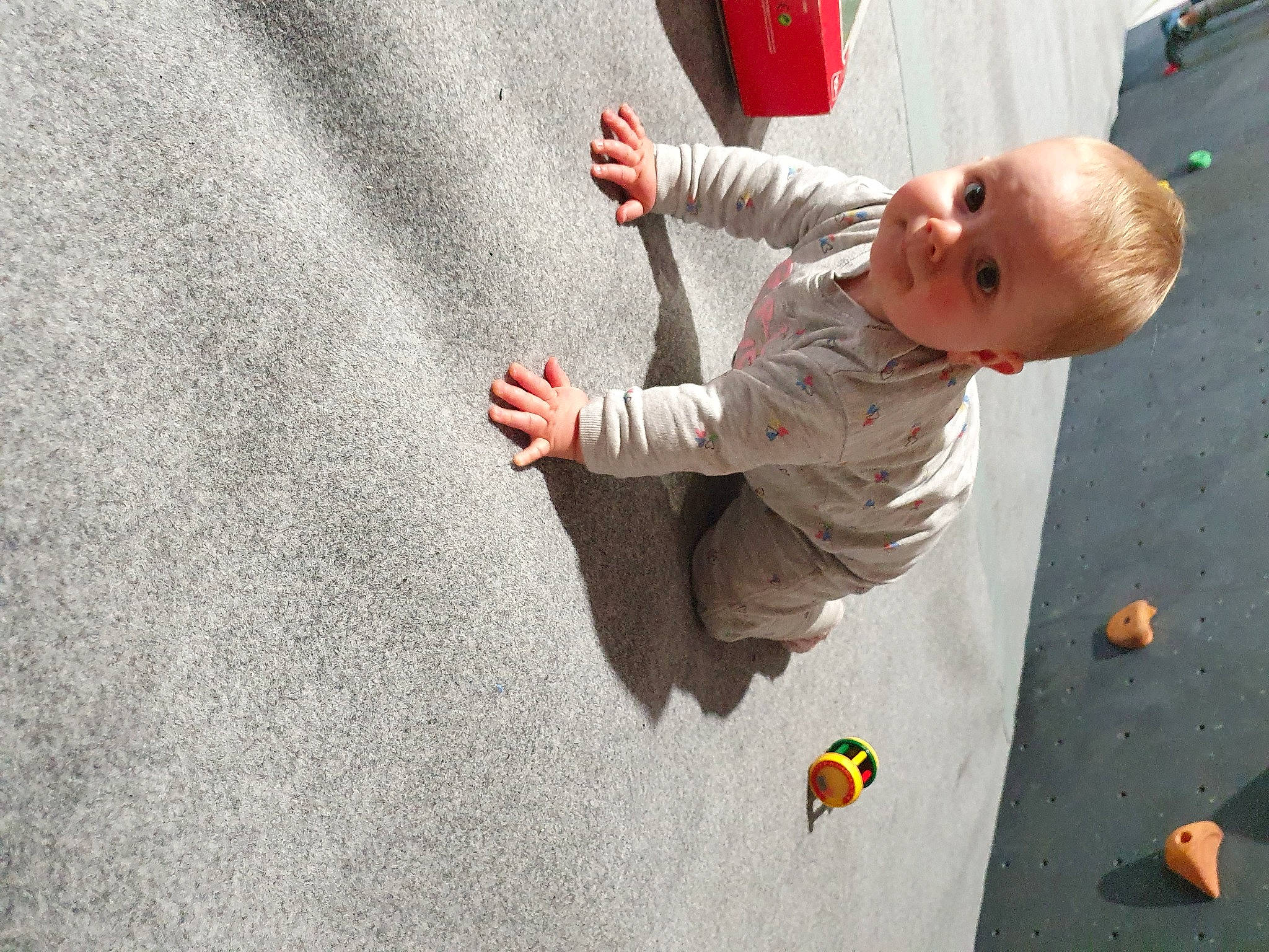 Jade participe au concours pour gagner de l'argent avec cette photo : arm, asphalt, baby, child, finger, floor, flooring, fun, hand, head, leisure, person, plant, recreation, road_surface, standing, toddler, tree, vertebrate, wall