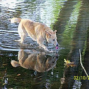 PRALINE a rejoint le concours — aidez-le/la à gagner de superbes lots !