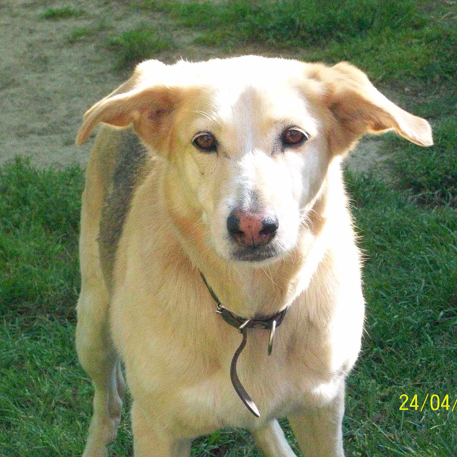 PRALINE a rejoint le concours — aidez-le/la à gagner de superbes lots !