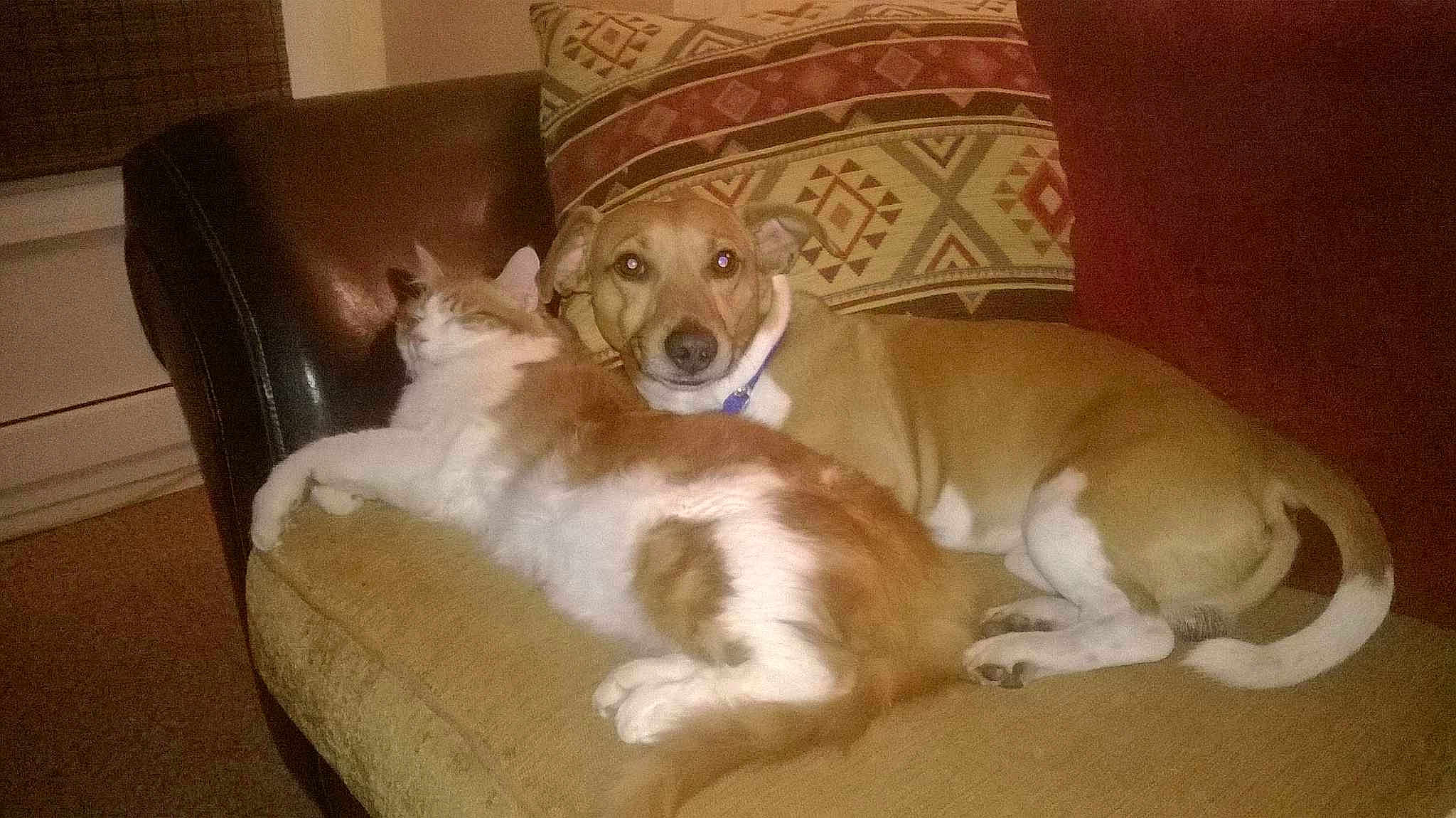 Caramel