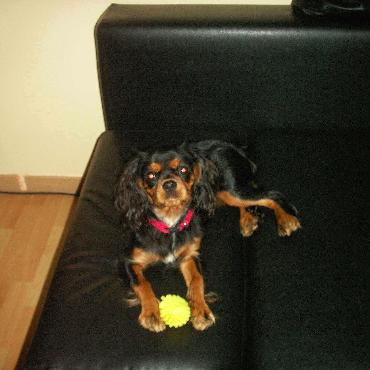 Havana a rejoint le concours — aidez-le/la à gagner de superbes lots !